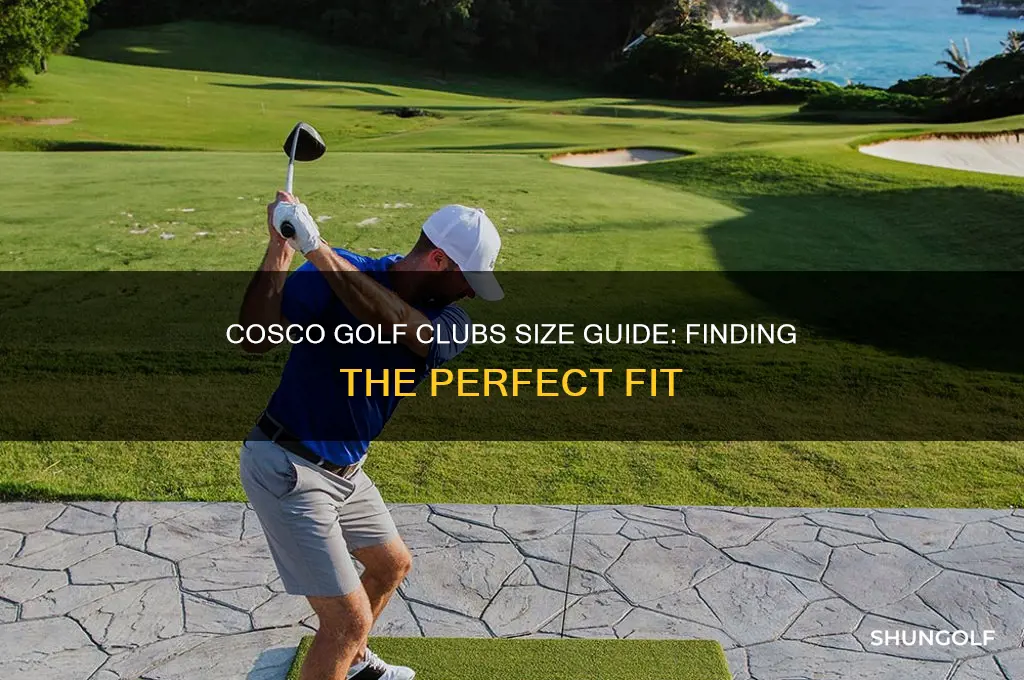 what size are the cosco golf clubs