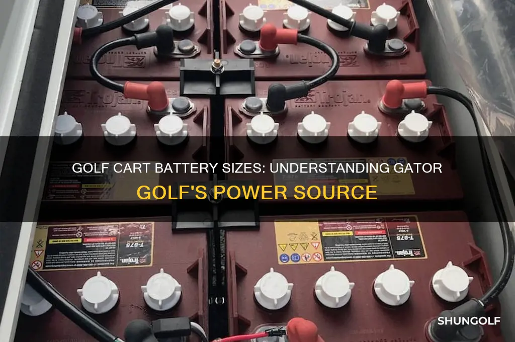 what size batteries do gator golf