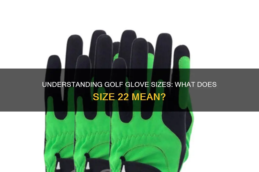 what size glove is 22 for golf