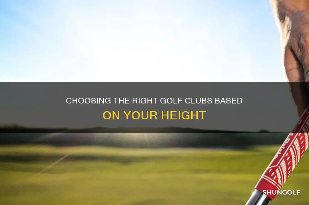 what size golf clubs by height