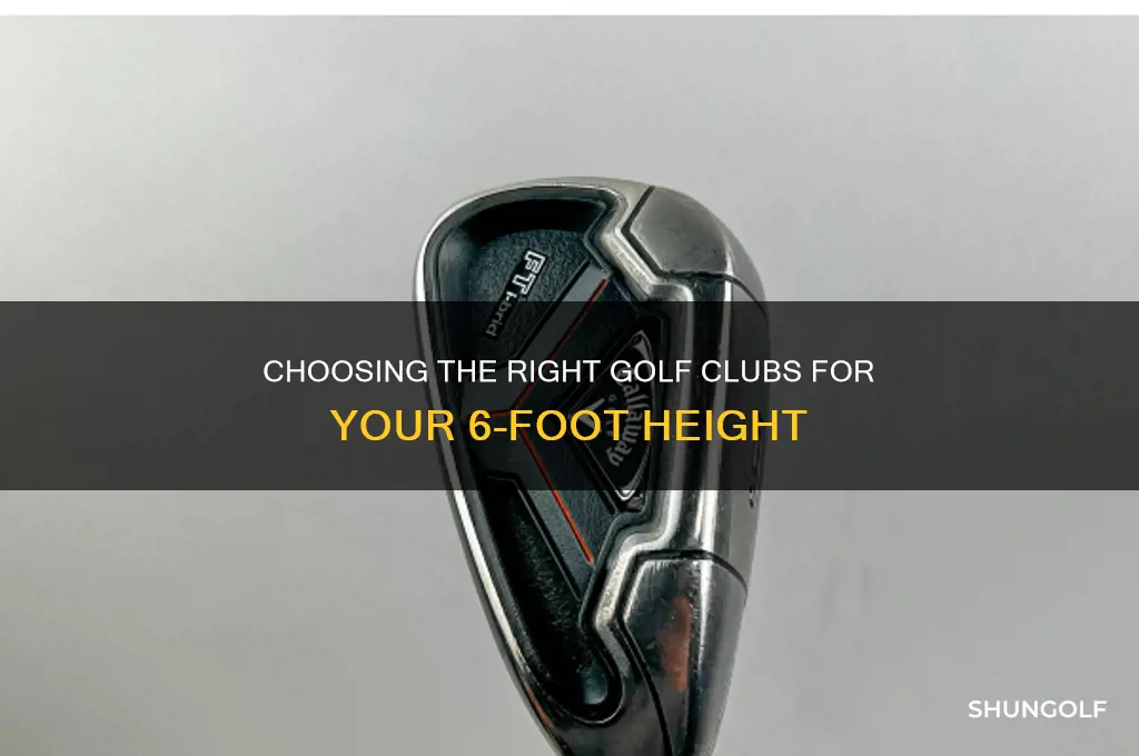 what size golf clubs do i need 6 feet