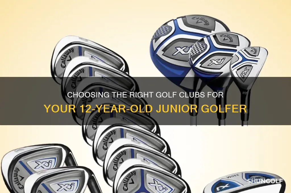 what size golf clubs does a 12 year old need