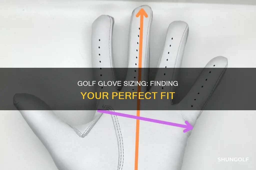 what size golf glove am i