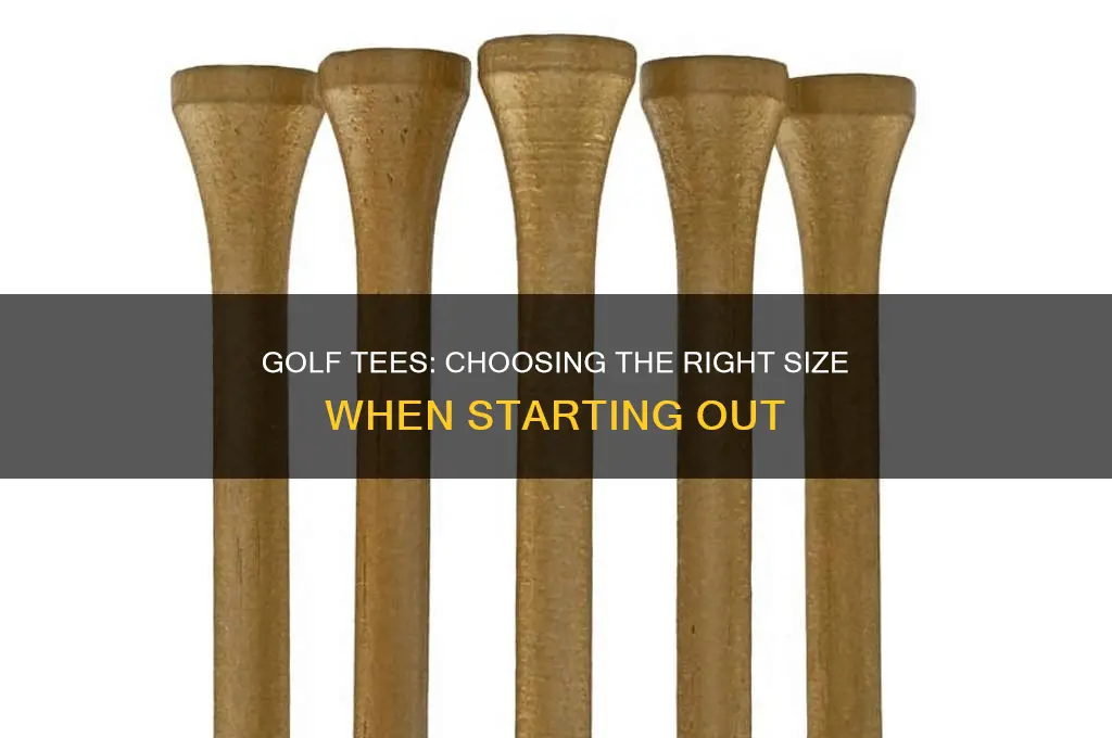 what size golf tees for beginner