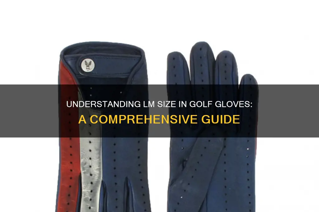 what size is lm on golf glove