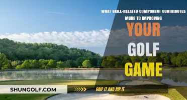 Mastering Golf: Key Skill-Related Component for Game Improvement