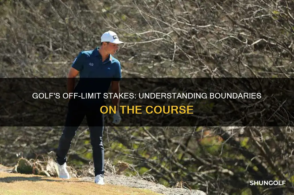 what stakes are out of bounds in golf