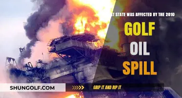 The Devastating Impact of the 2010 Gulf Oil Spill on Louisiana