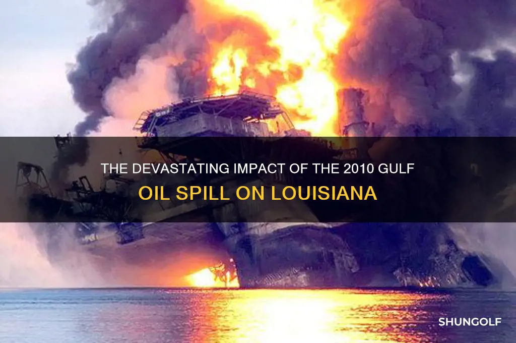 what state was affected by the 2010 golf oil spill