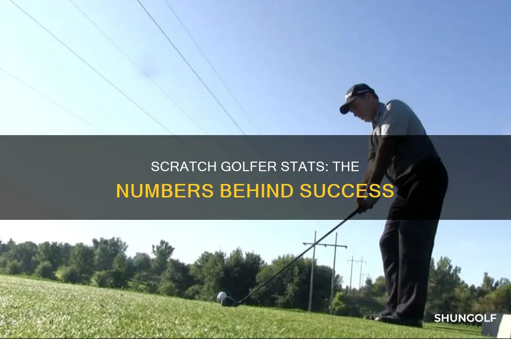 what stats for scratch golfer