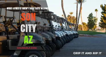 Where Golf Carts Can’t Roam: Restricted Streets in Sun City, AZ