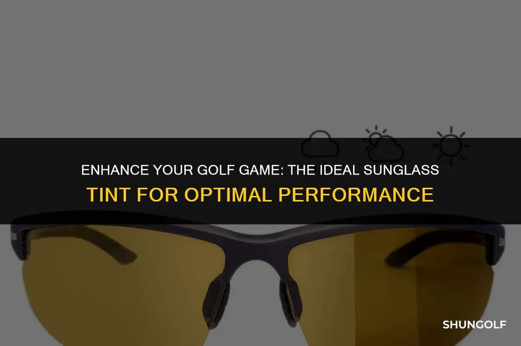 what sunglass tint is best for golf