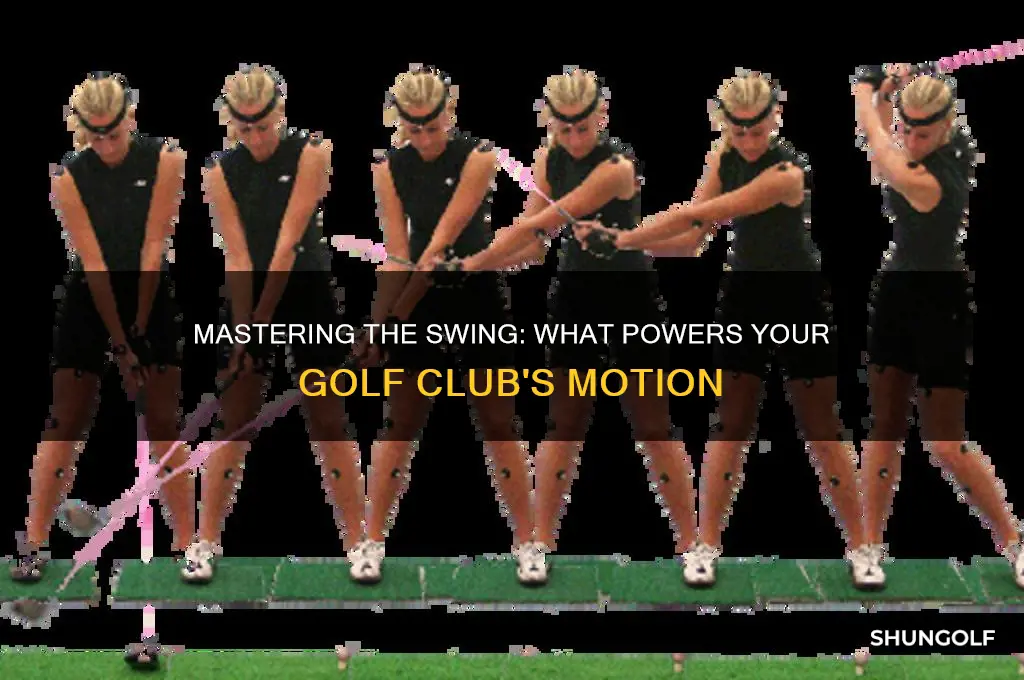 what swings the golf club