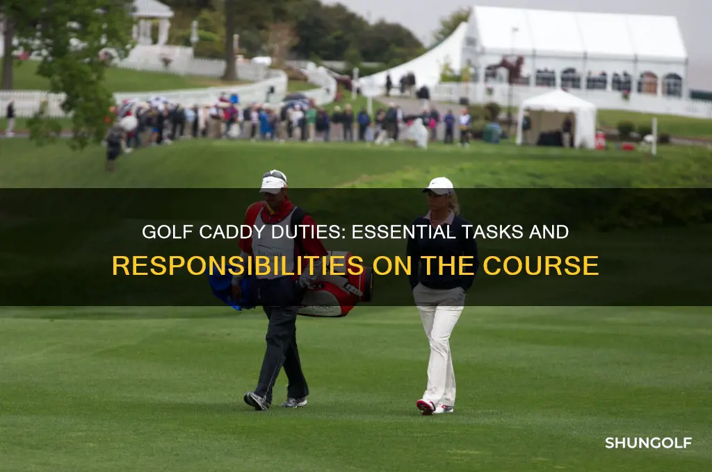 what task does a golf caddy typically perform