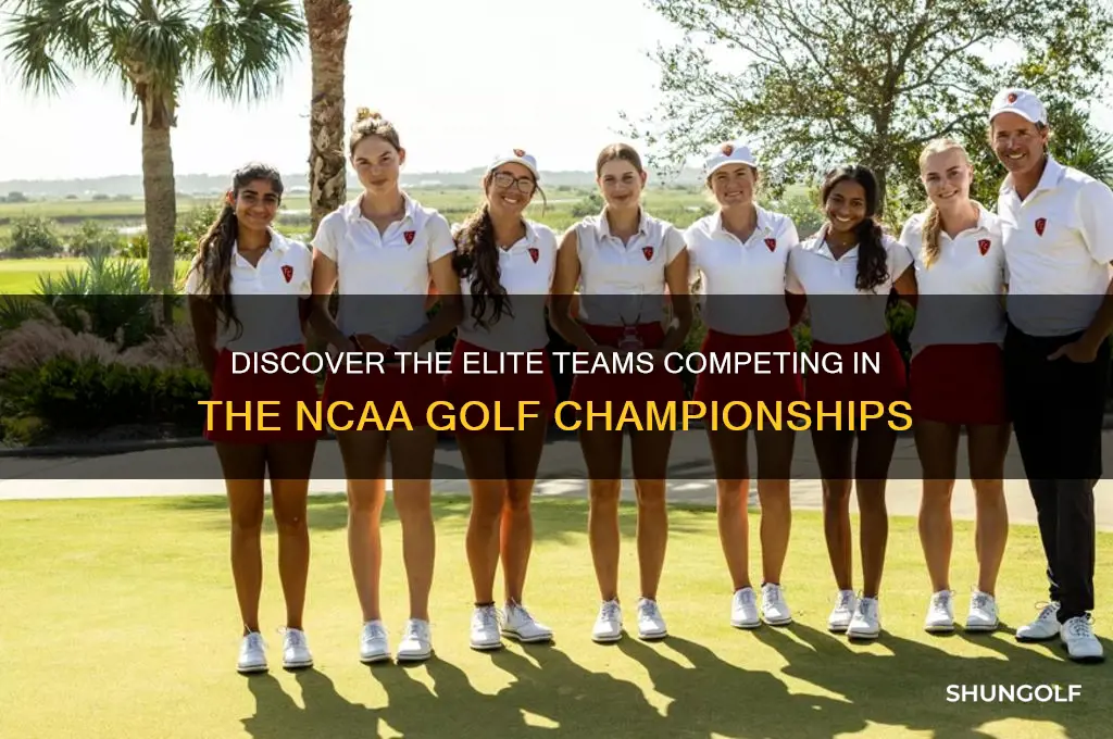 what teams are in the ncaa golf championships