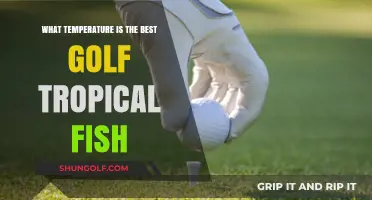Ideal Temps for Golf: A Guide to Tropical Fish Comfort