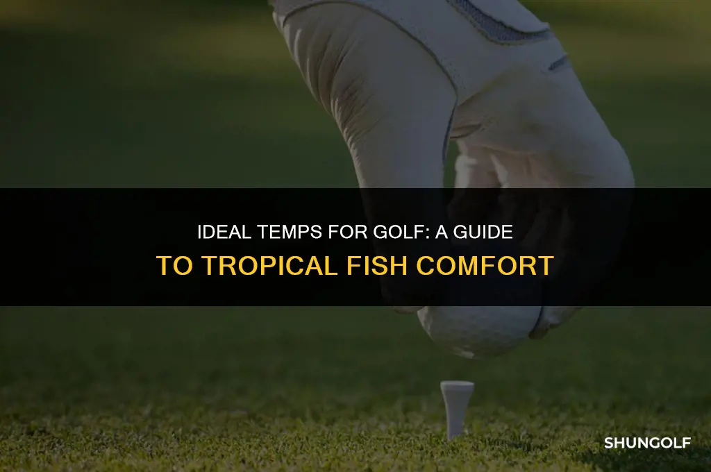 what temperature is the best golf tropical fish