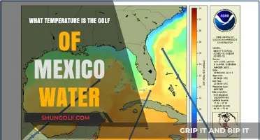Exploring the Gulf of Mexico's Water Temperature: A Comprehensive Guide