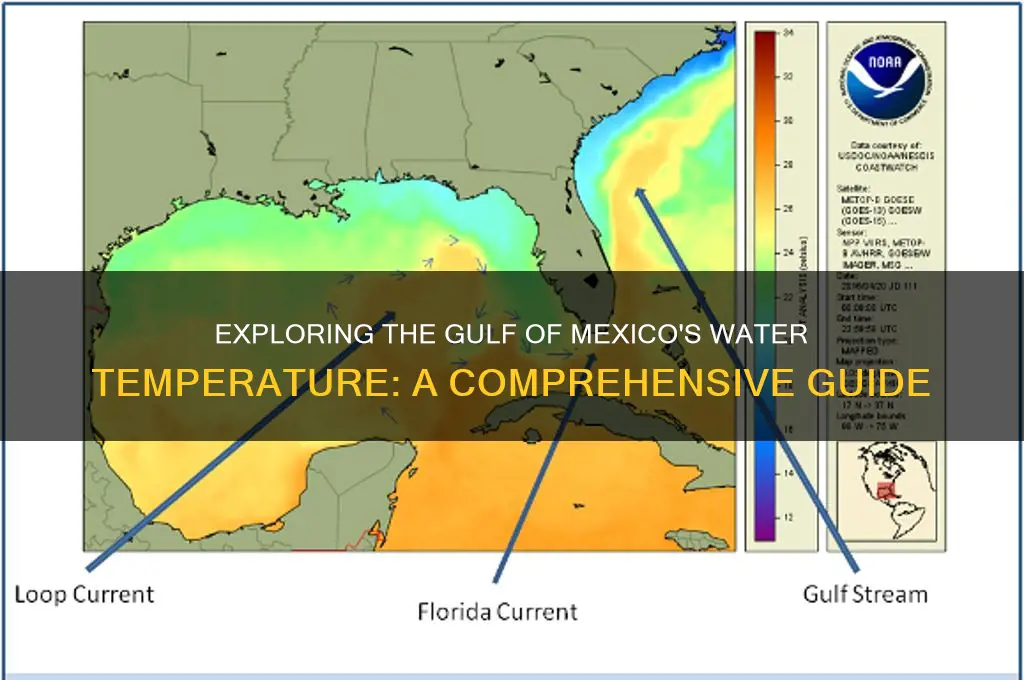 what temperature is the golf of mexico water