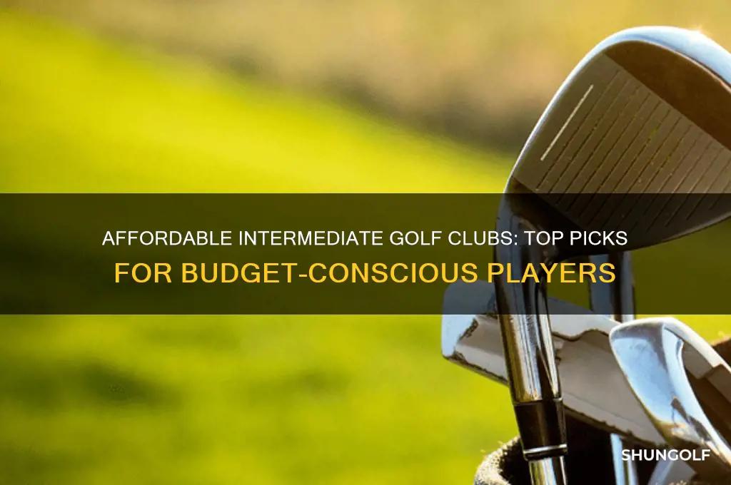 what the best intermediate level golf clubs on a budget