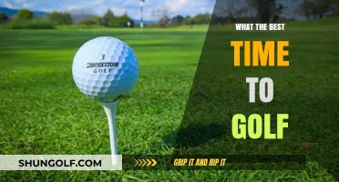 Teeing Off at the Perfect Moment: A Golfer's Guide to Optimal Play Times