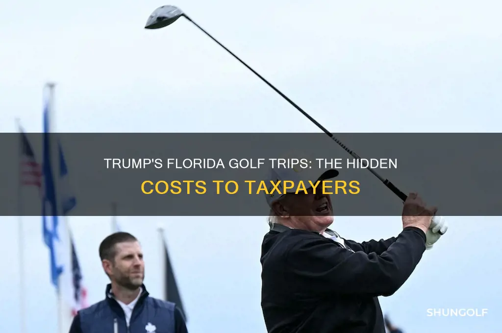 what the cost of trump