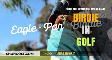 Eagle vs. Birdie: Understanding Golf's Scoring Terms and Differences