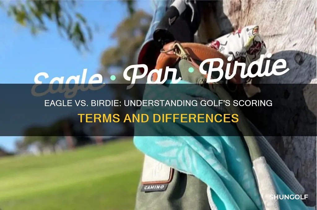 what the difference among eagle birdie in golf