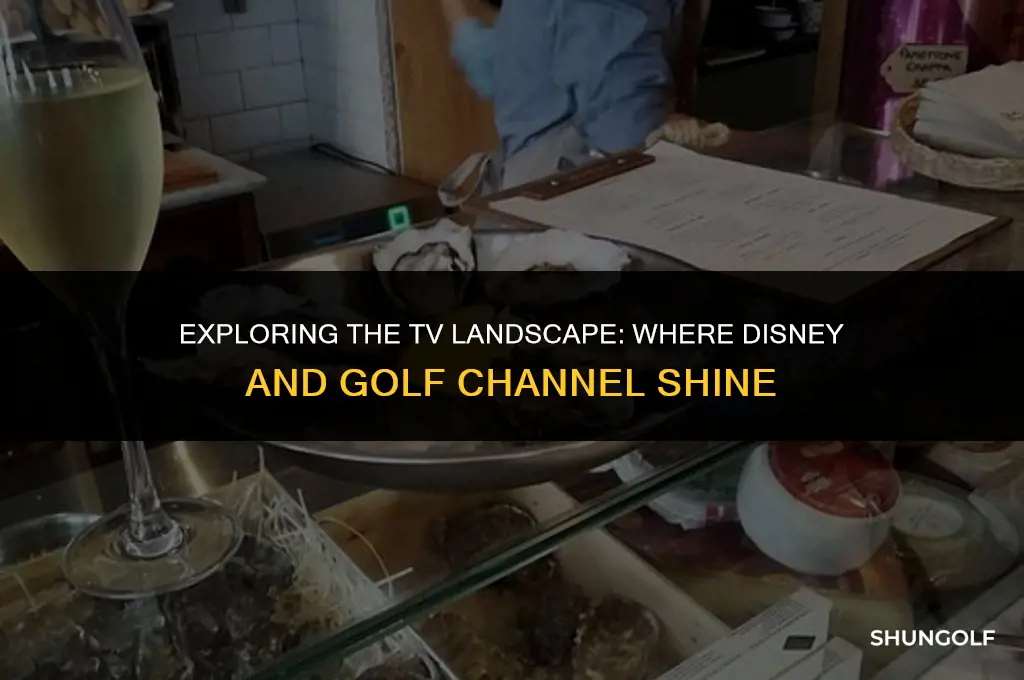 what the disney and golf channel appear on