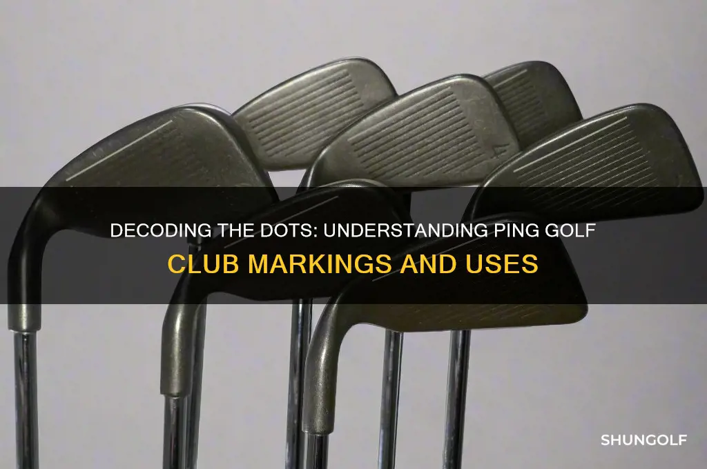 what the dots mean on ping golf clubs