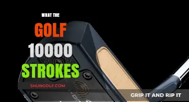Golfing Odyssey: 10,000 Strokes Later