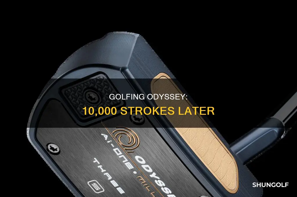 what the golf 10000 strokes