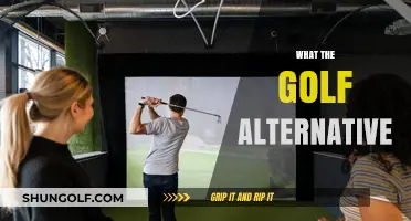 Unique Alternatives to What the Golf for Sports Enthusiasts