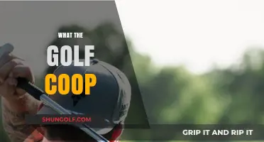 Golfing Together: What the Golf in Co-op Mode