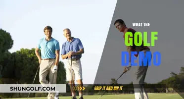 Golfing Fun: What the Golf Demo