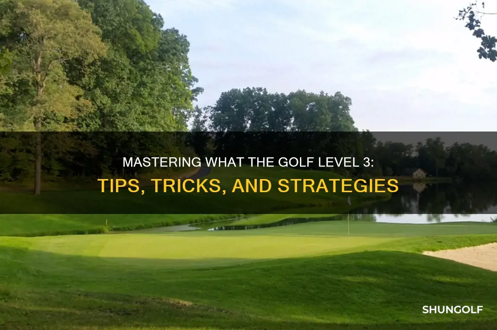 what the golf game level 3