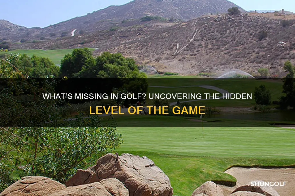 what the golf game missing level