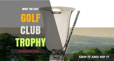 What the Golf Club Trophy Means: History, Significance, and Prestige