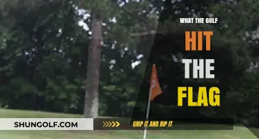 Golf Flag Frustration: What the Golf's Tricky Shots