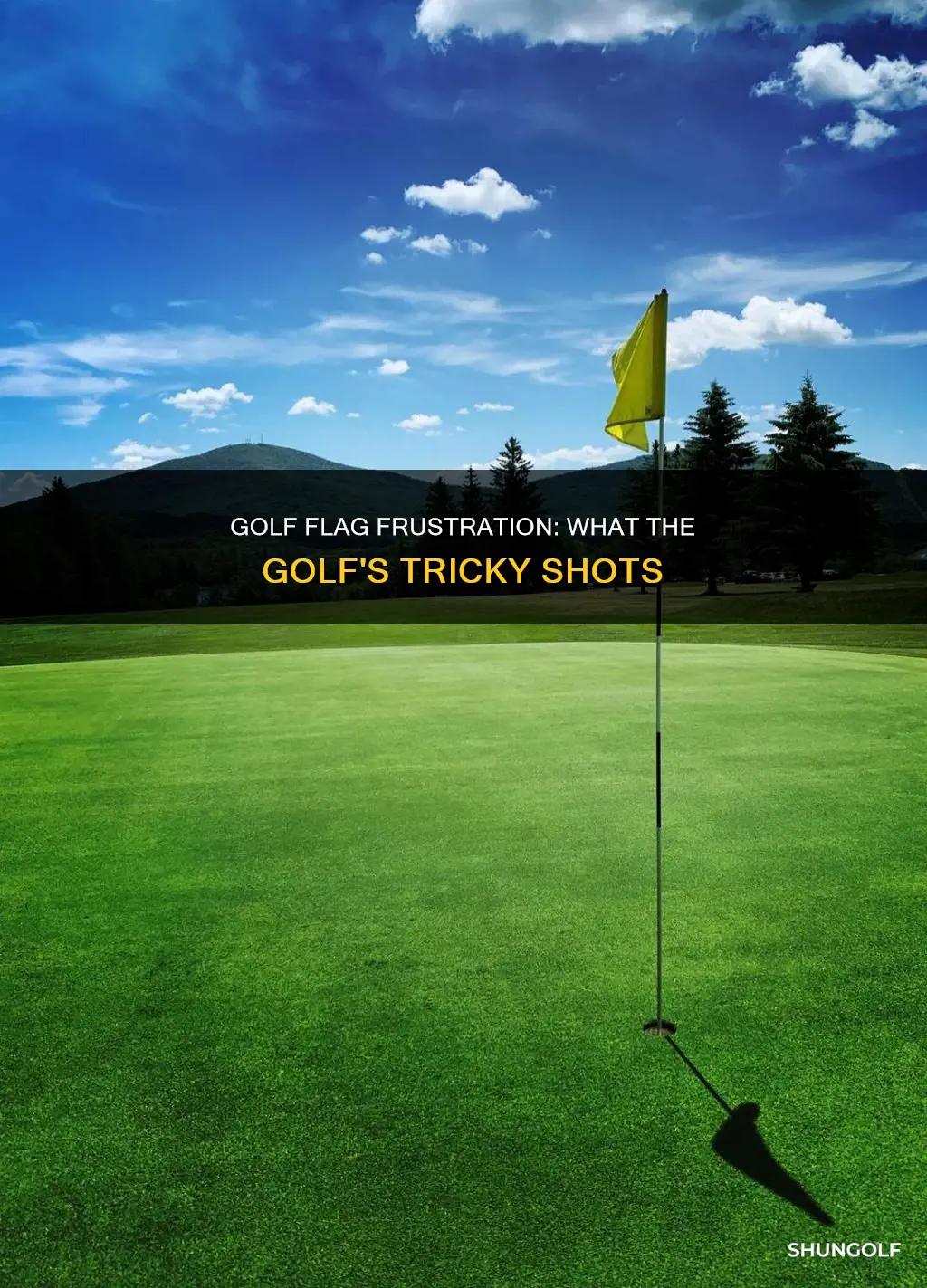 what the golf hit the flag