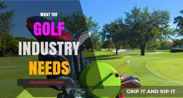 Golf Industry: Innovations Needed for a Brighter Future