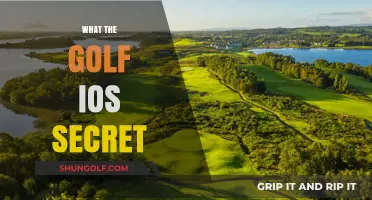 Unveiling Secrets in What the Golf on iOS