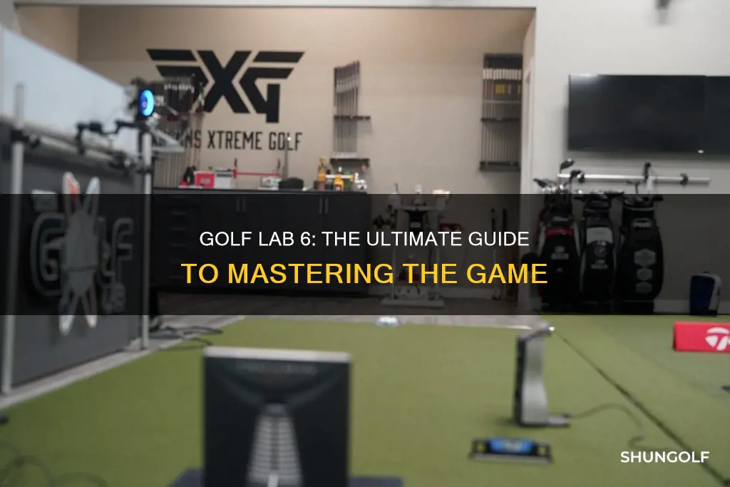 what the golf lab 6