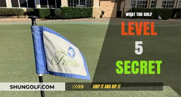 Unlocking the Secret Level in What the Golf