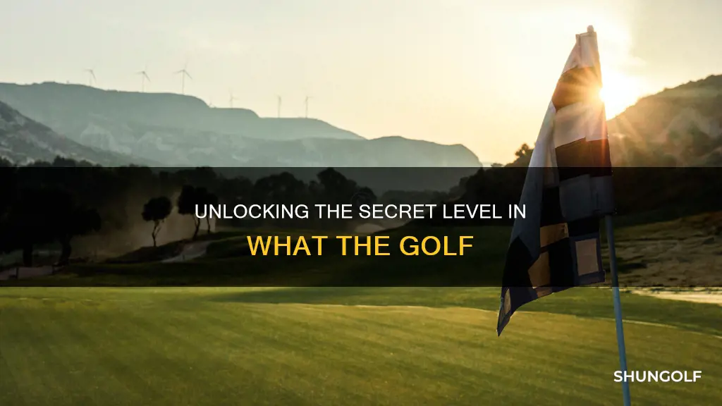 what the golf level 5 secret