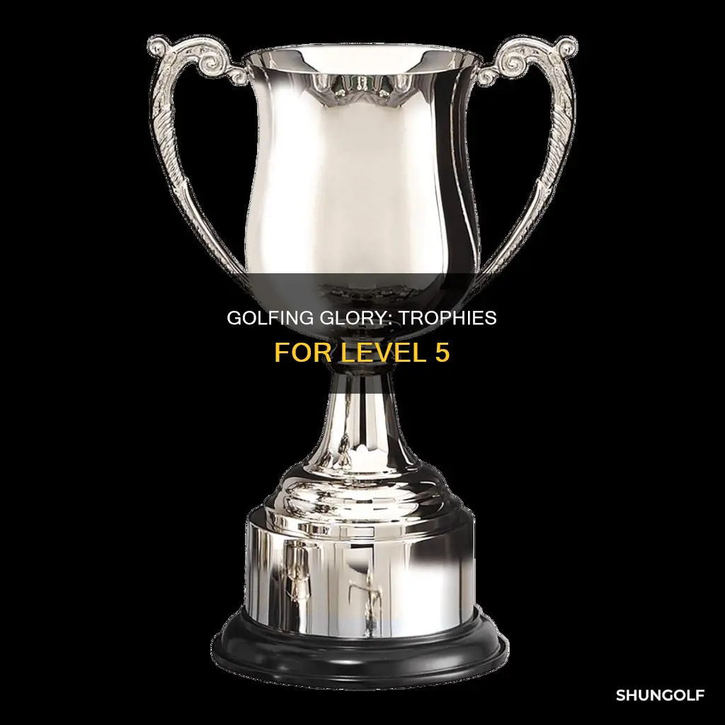 what the golf level 5 trophies