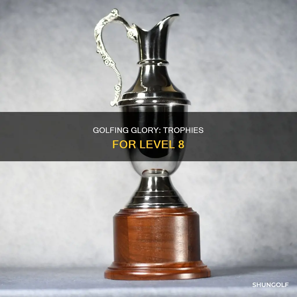 what the golf level 8 trophy