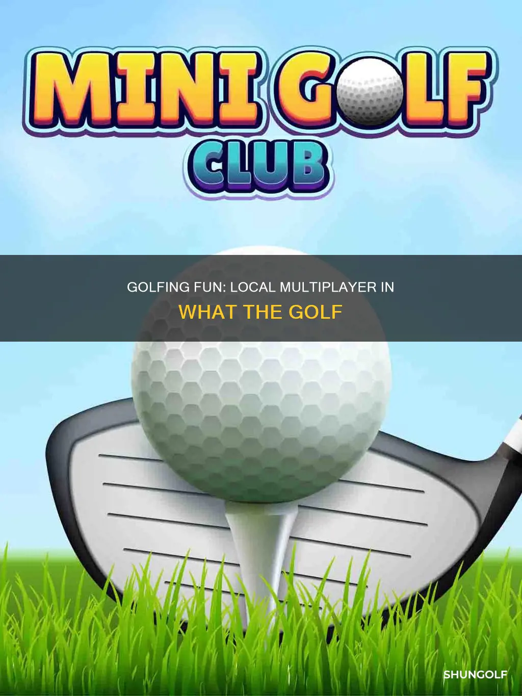 what the golf local multiplayer