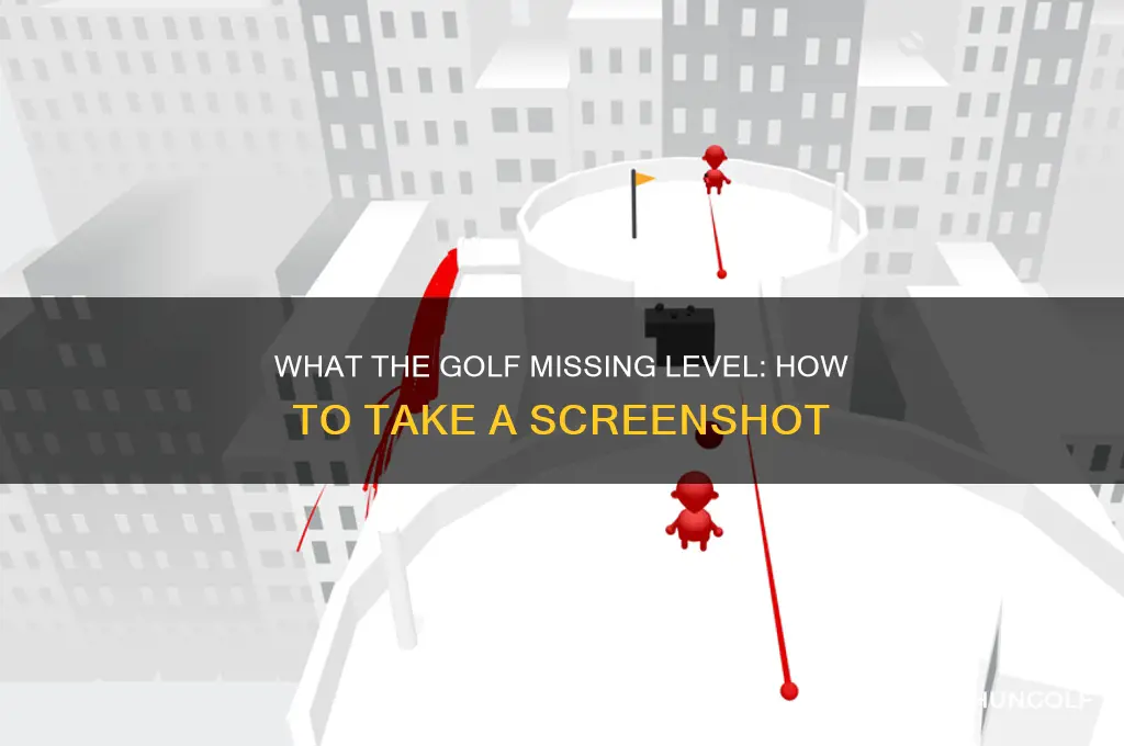 what the golf missing level take screenshot
