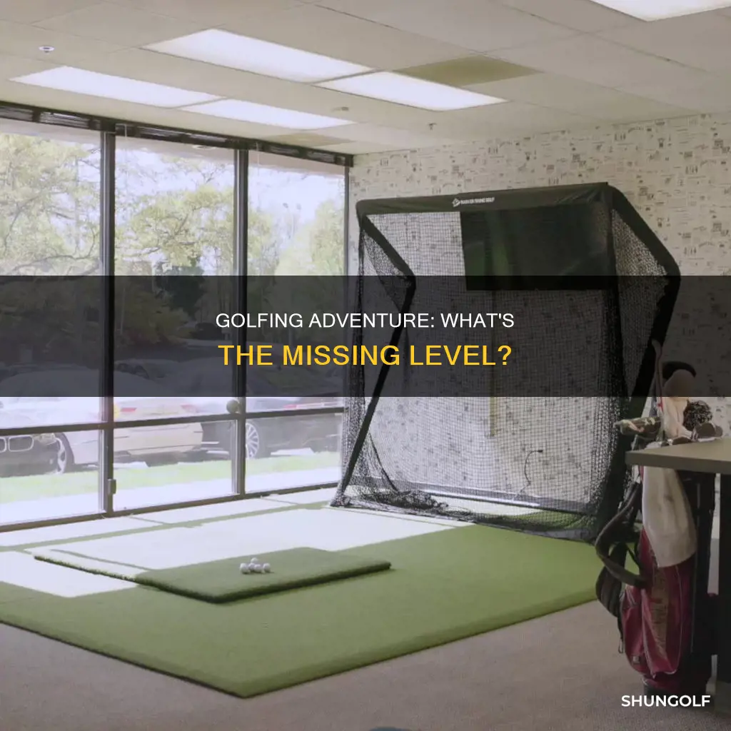 what the golf missing level